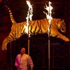 New welfare bill will not ban animals performing in circuses - Coveney
