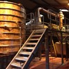 New whiskey distillery in Dingle to create 25 jobs