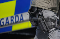 Sinn Féin expels party member after arrest of her partner in far-right terror probe