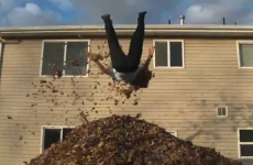 VIDEO: Jumping into the world’s biggest pile of leaves