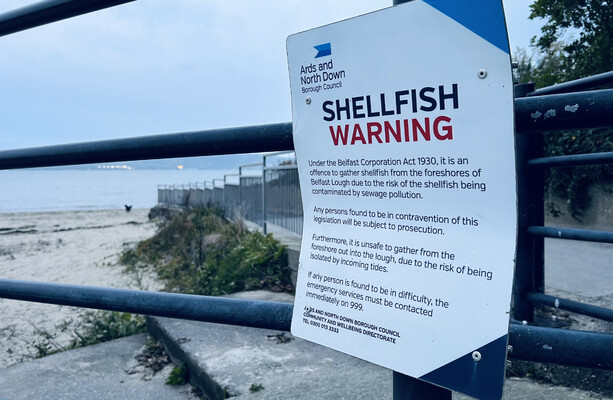 UK watchdog to investigate over raw sewage pouring into Belfast Lough 'every time it rains''