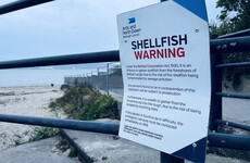 UK watchdog to investigate over raw sewage pouring into Belfast Lough 'every time it rains''