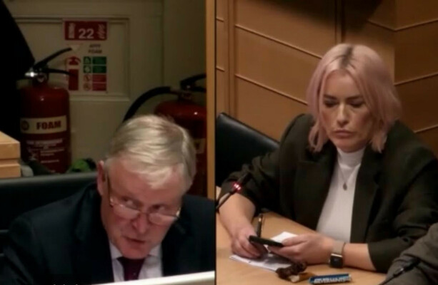 Dublin council chief insists no senior politicians pressured him to drop Herzog Park plan