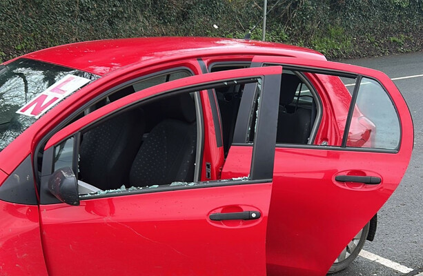 'They started punching us': Asylum seekers followed before alleged attack in Co Dublin village