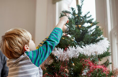 Have you put up a Christmas tree yet?