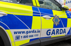Man (20s) dies after 'firearms incident' in rural Carlow