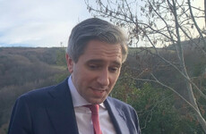 Tánaiste commends Irish ambassador after interaction with Israeli minister over Herzog Park