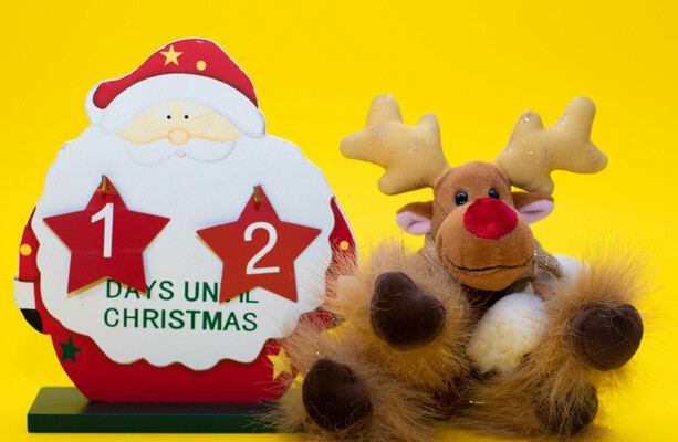 12 Days of Christmas Quiz: Test Your Knowledge