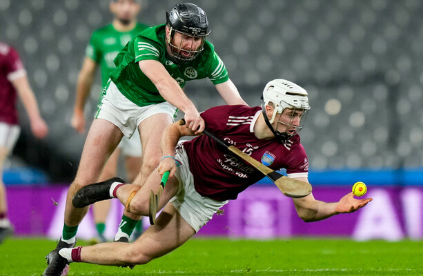Wexford's St Martin's win Leinster hurling final thriller against Ballyhale Shamrocks