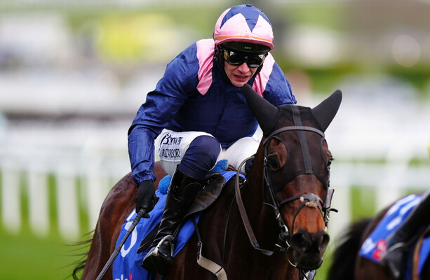 Top Cheltenham hopeful Kopek Des Bordes will miss festive run at Leopardstown