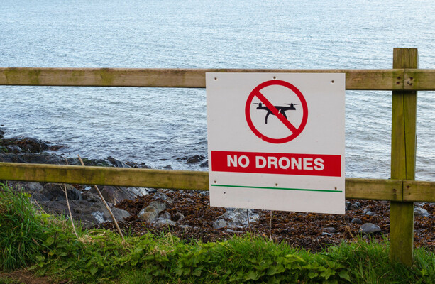 Ireland's security 'no longer regarded as assured', amid attacks by foreign intelligence services