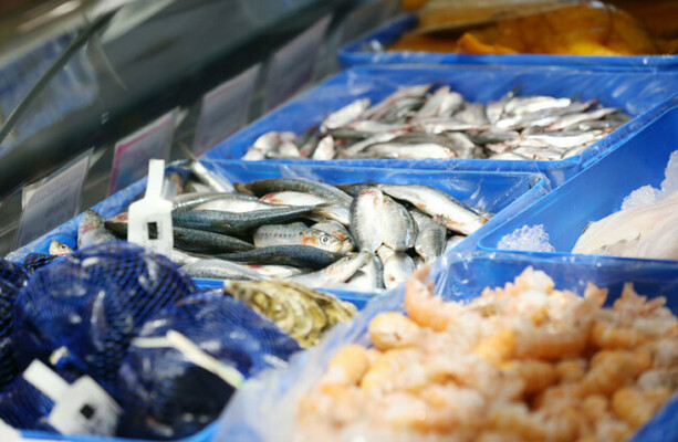 New EU fishing agreement will be 'catastrophic' for Ireland, industry warns