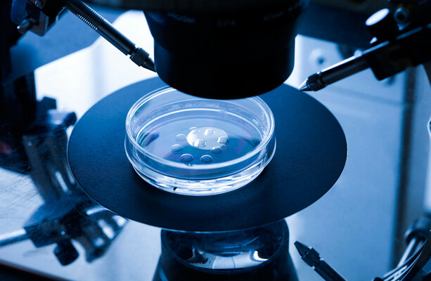 Ad for IVF clinic set up in 2021 that said it has been around for 40 years deemed misleading