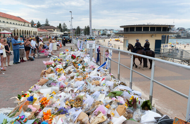 Alleged Bondi Beach gunmen carried out 'tactical' training before attack, police say