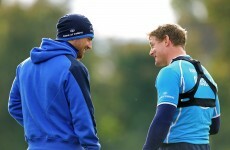 Schmidt plans Heineken Cup comebacks for O'Driscoll and Kearney
