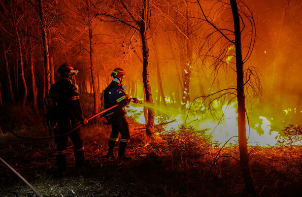 Climate tipping point will be reached by the end of this decade, Copernicus institute warns