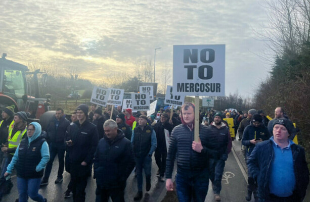 Irish MEPs among group hoping to get Mercosur deal referred to top EU court