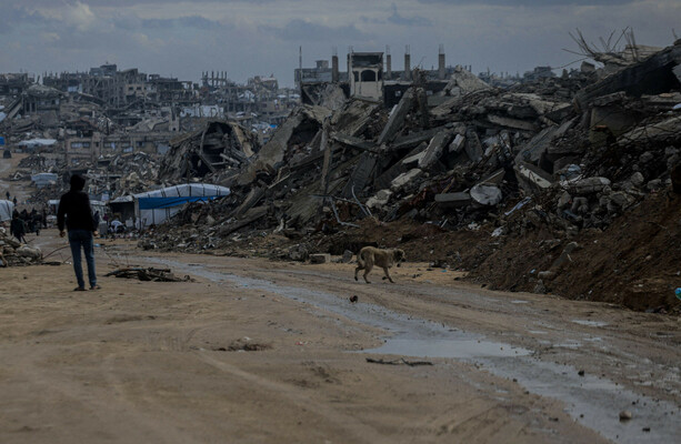 A ceasefire in name only: Israel's relentless targeting of Palestinians has not stopped