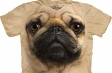 Is this the best t-shirt you'll see today?