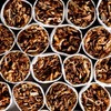 351,000 contraband cigarettes seized at Dublin Port