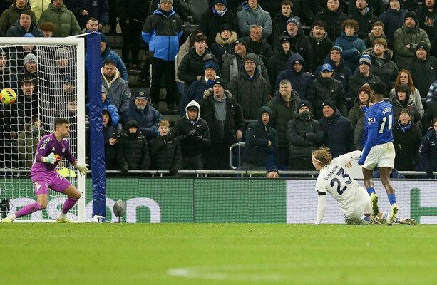 everton-s-barry-strikes-again-to-frustrate-leeds-the-42