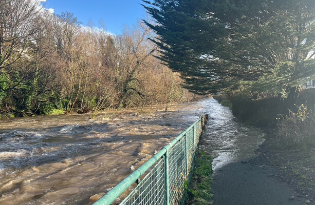 South Dublin County Council received 74 emergency calls during Storm Chandra