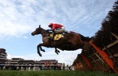 Mark your Card: your best bets for today's Grade racing
