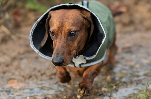 Does wet weather influence your mood?
