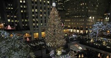 Photos: Rockefeller Center Christmas lights turned on (with help from the Muppets)