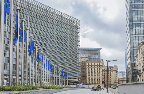 Kafka with coffee: Life in the European Parliament - it might be boring, but it still matters