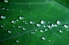 Oireachtas committee to investigate severe weather response