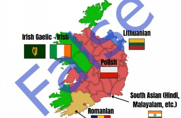 FactCheck: Does a viral map show the second-most spoken language in each Irish county?