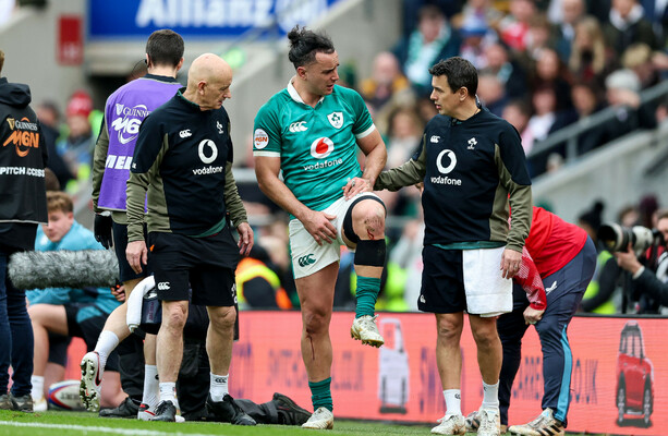 Ireland monitor Lowe's groin injury as 11 players released back to ...