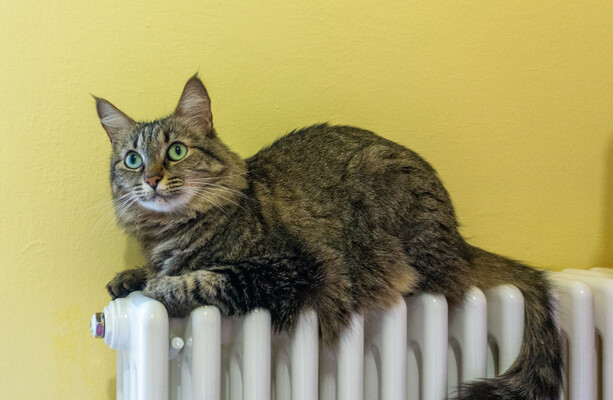 The 'comfort barrier': Why Irish homeowners aren't going for heat pumps