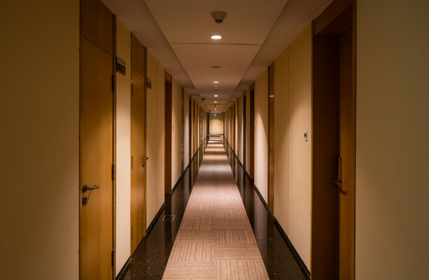 New record as more than 17,000 people in emergency accommodation last month