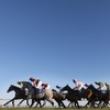 Mark your Card: your best bets for today’s Grade racing