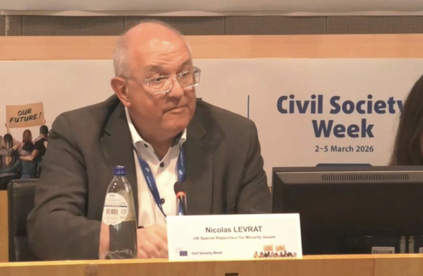 Ireland should act to protect rights of language minorities during upcoming EU Presidency