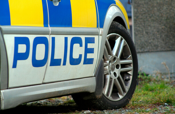 Four teenagers due in court over attack on man and his rescue dog