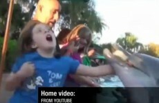 Video: Girl in lucky escape after being bitten by SeaWorld dolphin