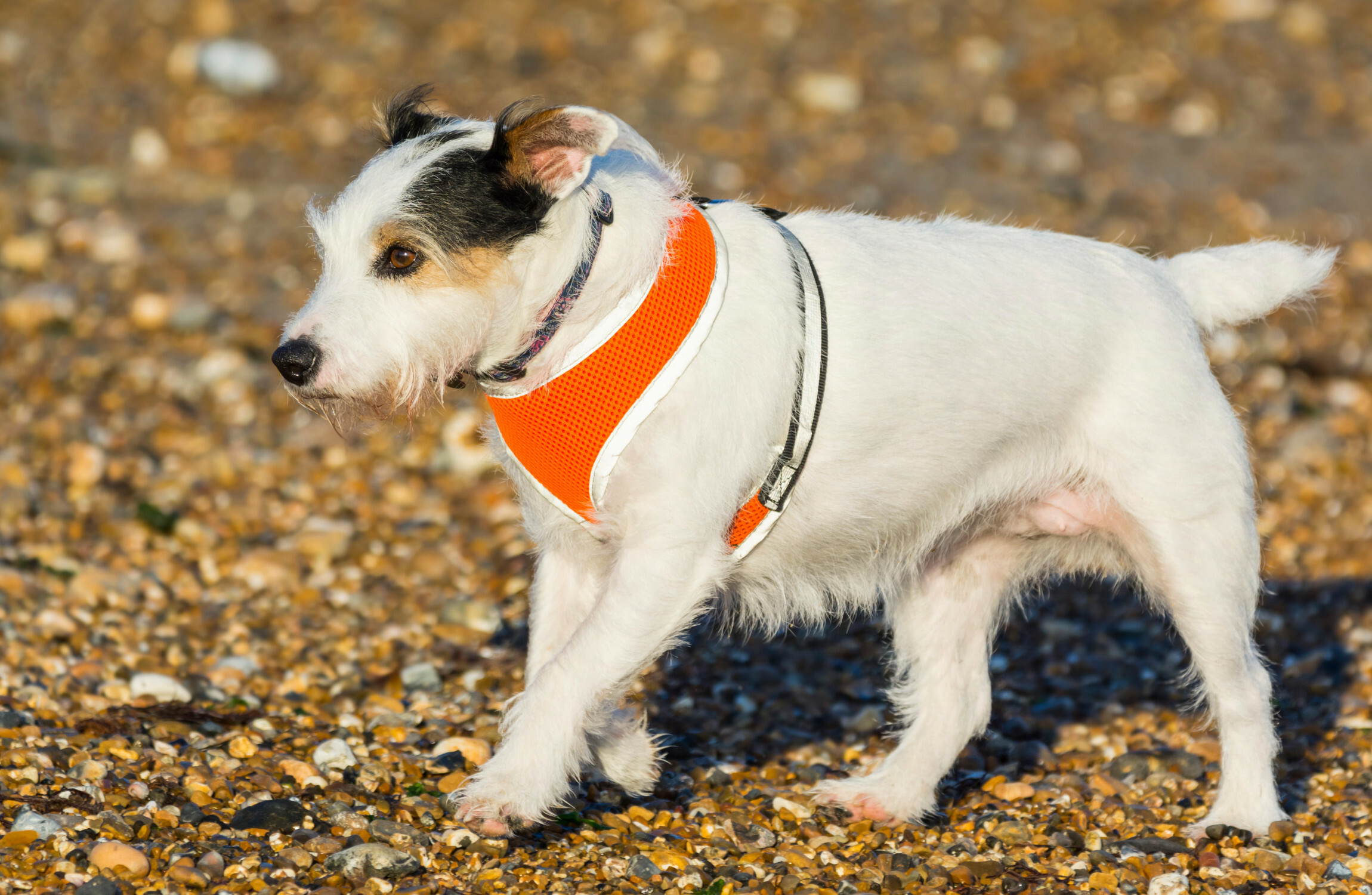 thejournal.ie - Gwen Loughman - The money dial: How we manage our finances best to protect what we care about the most