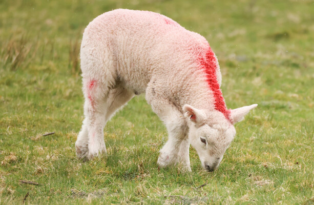 Here's what happened today: Thursday