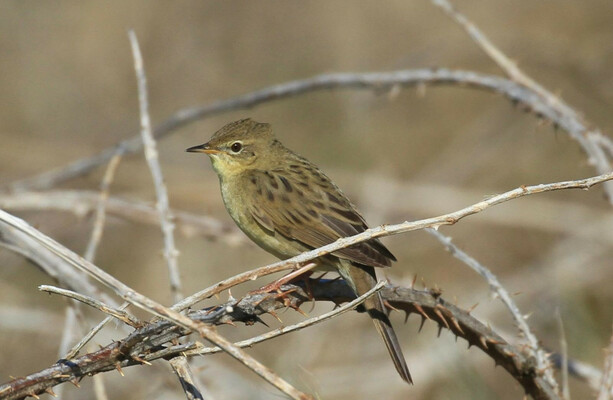 Minister for nature: We need to work together to protect against biodiversity loss