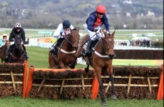 Bobs Worth leads field of 27 for Lexus Chase at Leopardstown