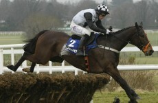 Dunguib out of Irish Champion Hurdle at Leopardstown