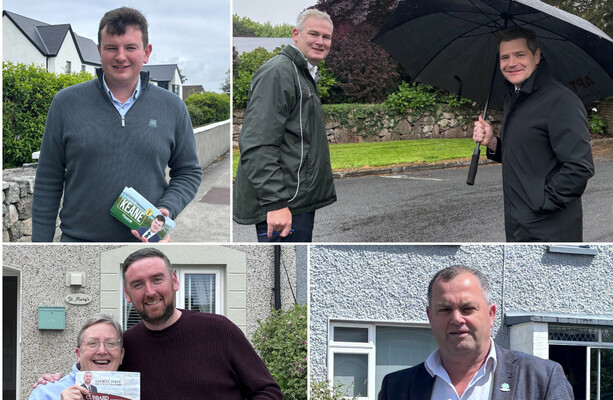 When Fine Gael ask if you want to go with them to canvass Michael D Higgins' house, you say yes.