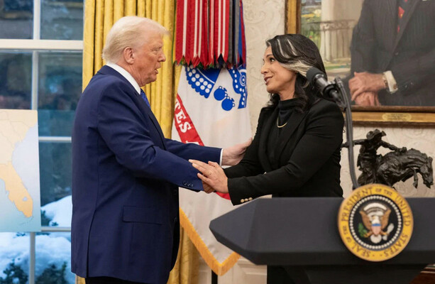 Tulsi Gabbard resigns as US director of national intelligence, citing husband's cancer diagnosis