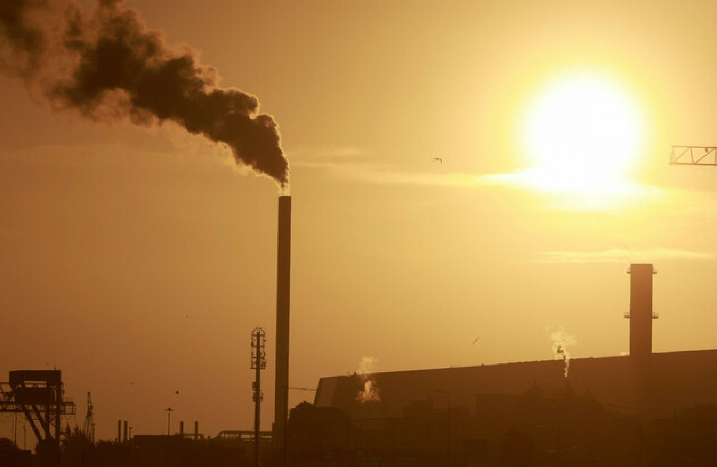 thejournal.ie - Diarmuid Pepper - Ireland on track to deliver only half the reductions of greenhouse gas emissions needed by 2030