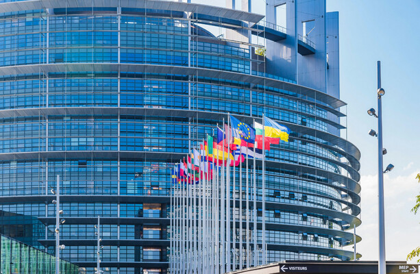 Chants of ‘send them back’ and 'shame on you' as MEPs back contentious migrant detention laws