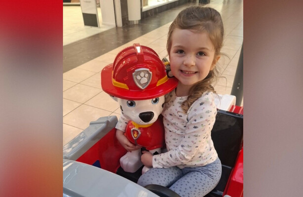 Six-year-old girl dies after being struck by a van in Co Down