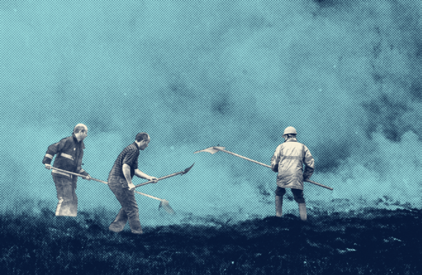 Ireland has one of Europe's highest rates of wildfire overlap with protected nature sites
